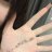 MoFiR_dXS